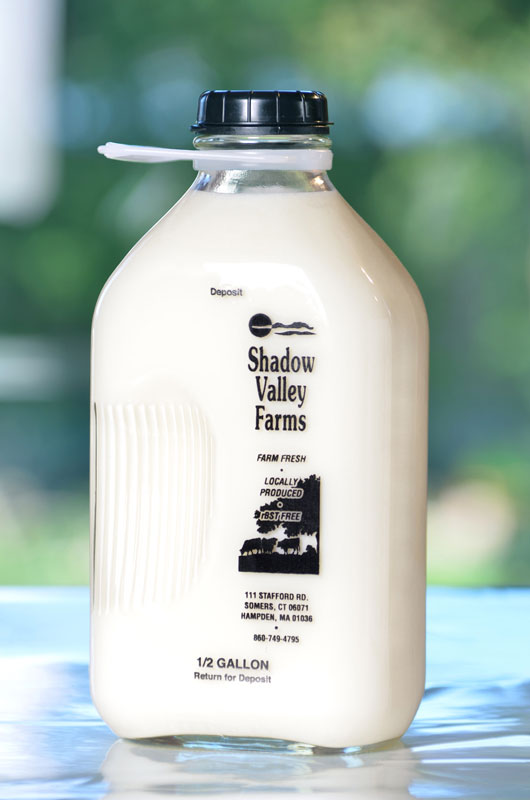 Bouteille de lait laitier en verre, demi-gallon, Stanpac
